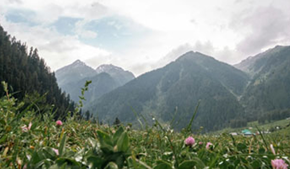  Opulent Honeymoon Escape in Kashmir